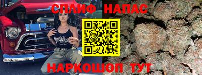 ешки Камышлов