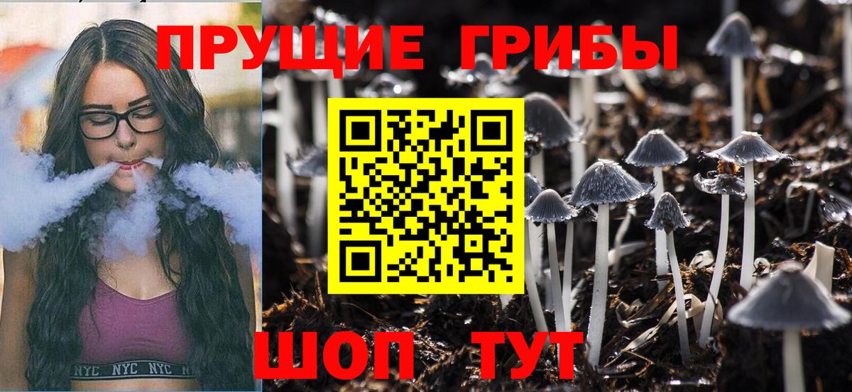 Кулебаки  Галлюциногенные грибы Psilocybine cubensis  Галлюциногенные грибы Psilocybe  Вход с VPN 
